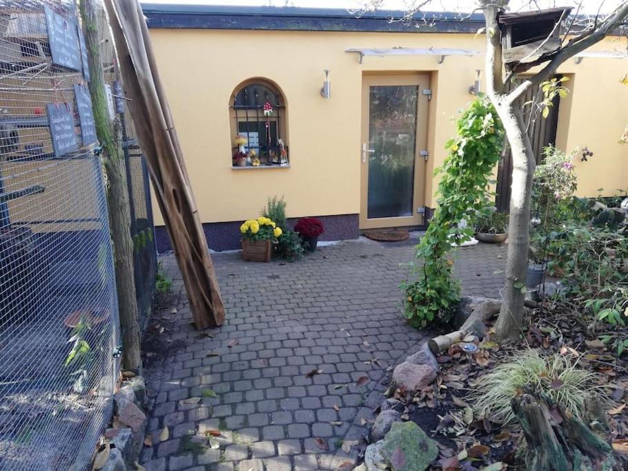 Unser Studio-Apartment "Wohlfuehloase" Oranienburg Eksteriør billede