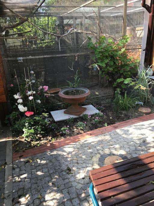 Unser Studio-Apartment "Wohlfuehloase" Oranienburg Eksteriør billede